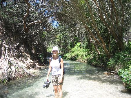 Eli Creek auf Fraser Island