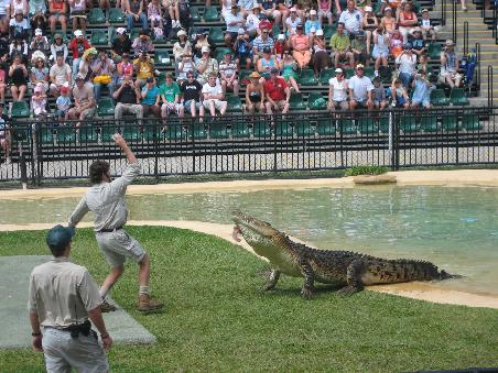 Croc-Show im Australia Zoo