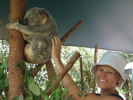 O-Ton Koala: "Oh, das Rueckenkraulen tut soooo gut..."