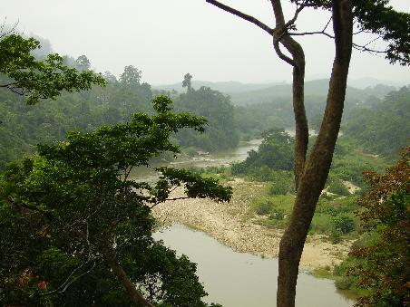 Taman Negara Nationalpark... Aussicht von irgendwo!