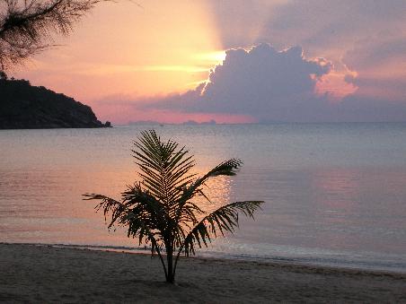 Sonnenuntergang bei uns am Strand!