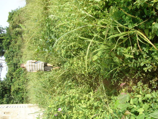 mein Schulweg und Gabriel von hinten