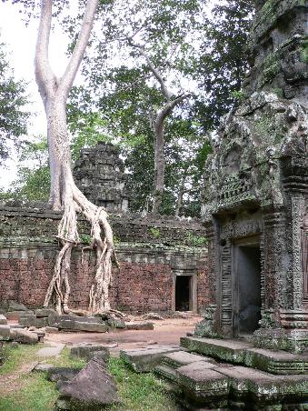 Ta Prohm Tempel