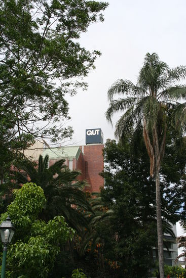 Da lugt die Uni hinter den Palmen hervor