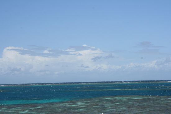 öh nochmal das Knuckle reef