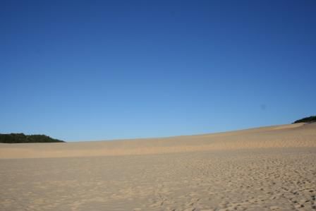 Duenenlandschaft