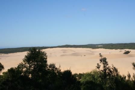 Blick vom Lookout