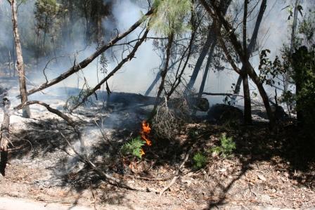 Waldbrand