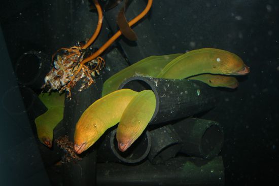 Moränen - wer denkt hier nich an Super Mario