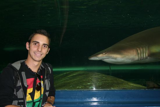 wer is hier gefährlicher 