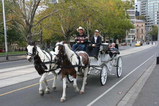 romantische Kutschfahrt...
haben wir NICHT gemacht ^^