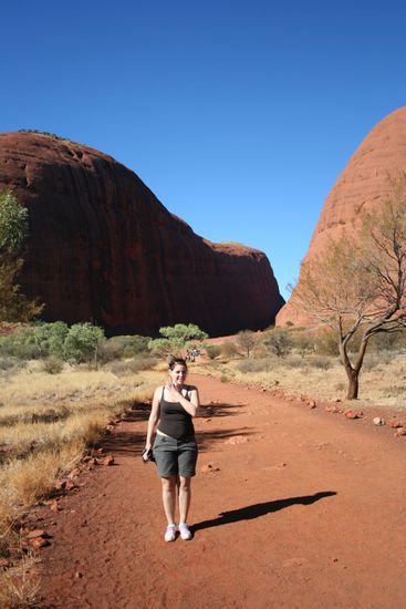 kurz vorm Rand der Olgas - der ewige Kampf mit den Fliegen
