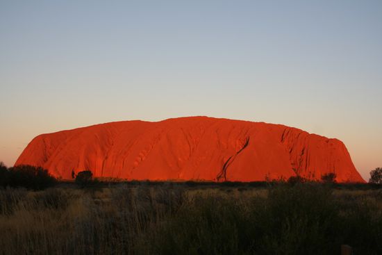und wieder ein anderer Rotton