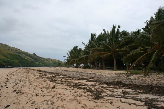 nich jeder Strand sieht schön aus (Waya)
