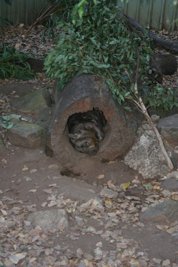 und pennt schon wieder