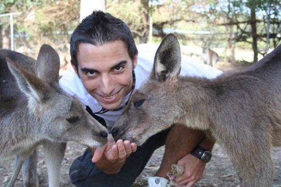 mir fressen sie halt aus der Hand 