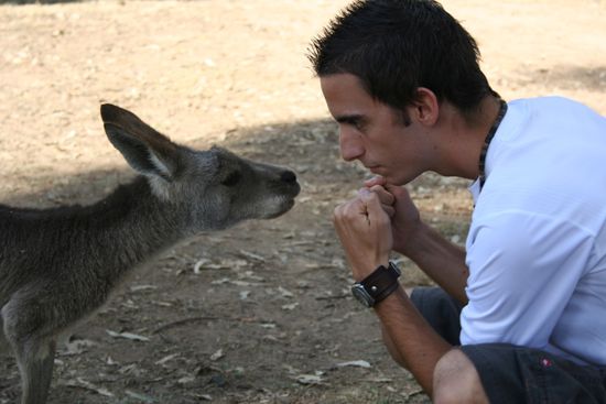 Let's get ready to rumble