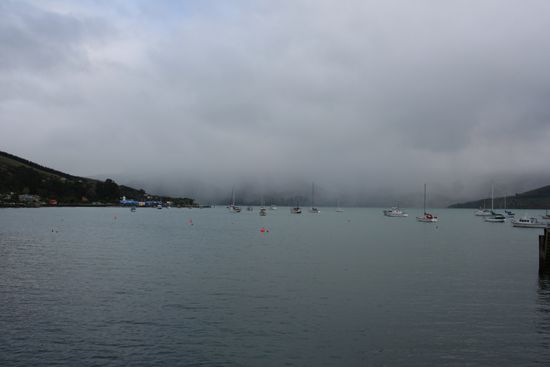 Hafen von Akaroa