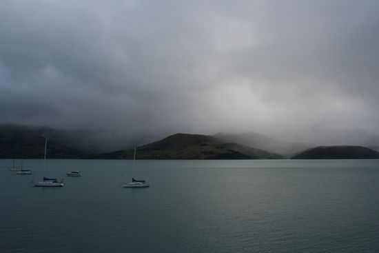 Bucht von Akaroa