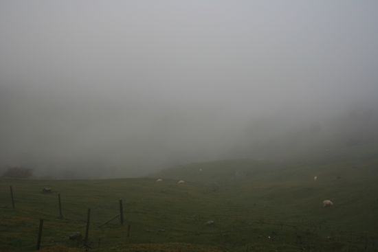 "Bester Blick über Akaroa"