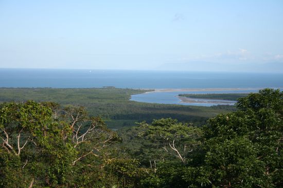 Blick auf den Daintree NP