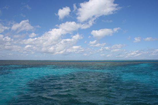 ein Teil des Great Barrier Reefs