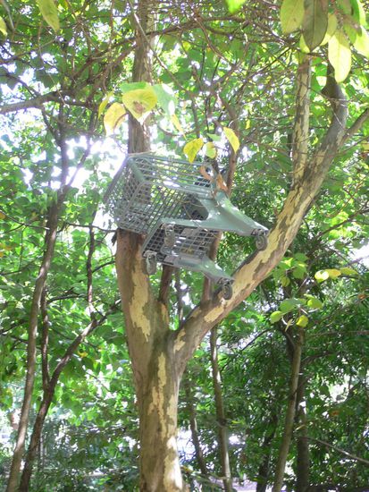 wie kommt der denn dahin...