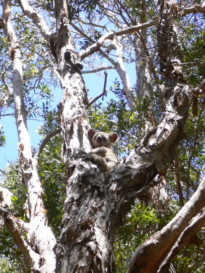 wir wurden beobachtet