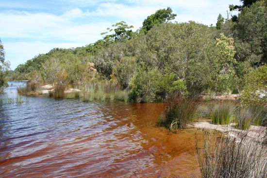 Lake Boomanjin
(Kacka See ^^)