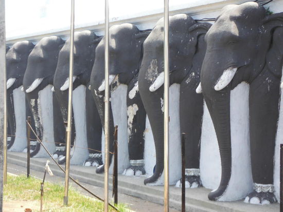 6 von 344 Elefanten, auf denen die Ruhanveli Dagoba steht