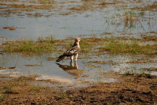 Und hier beim Wassertreten