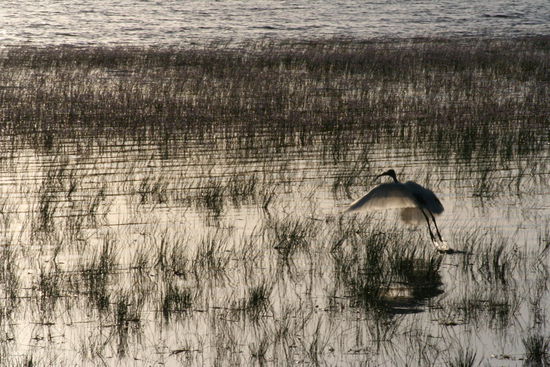 Nichts wie in die Heia