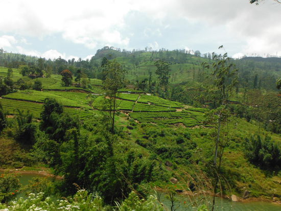 Ausblick aus dem Zugfenster