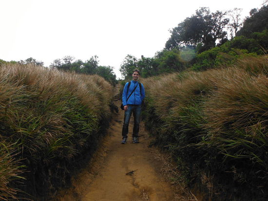 Durch diese Gasse muss er kommen