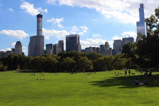 Die grüne Lunge der Stadt