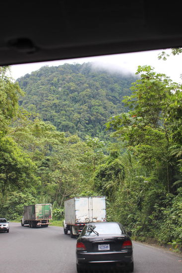 Ganz und gar nicht allein 