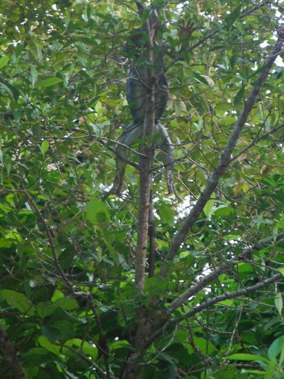 Chill mal Dein Leben...