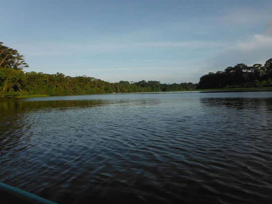 Frühmorgens auf in den Regenwald