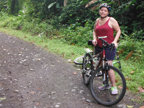 Farblich abgestimmtes Rad