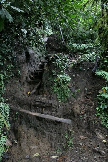 Bedenklicher Zustand der Wanderwege