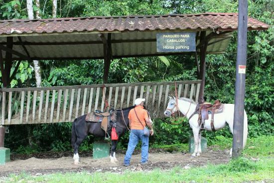 Cowboy beim rückwärts Einparken
