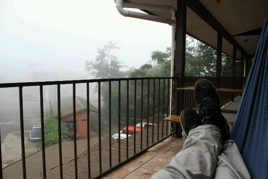 THE view