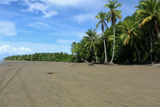 Strand in Uvita