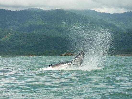 Gut, dass wir weit weg waren