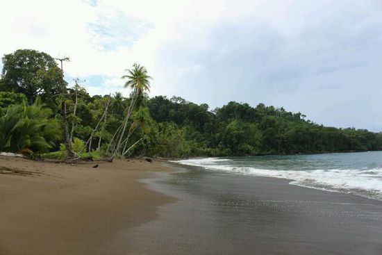 Rincon Beach