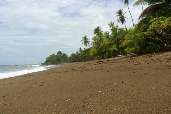 Rincon Beach