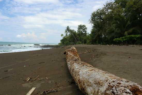 Strandpanorama