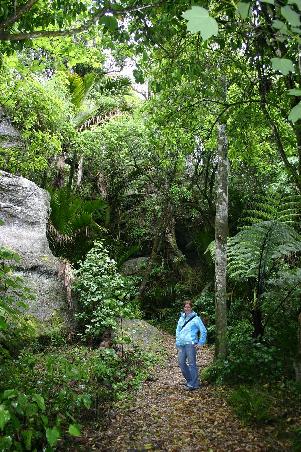 Im Grove Scenic Reserve