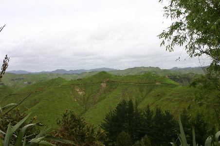 Ausblick auf der Nordinsel (hat sich in das Kapitel reingeschmuggelt )