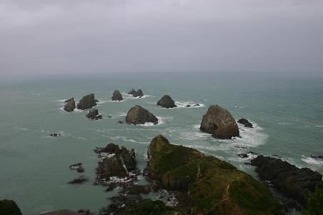 Felsen am Nugget Point